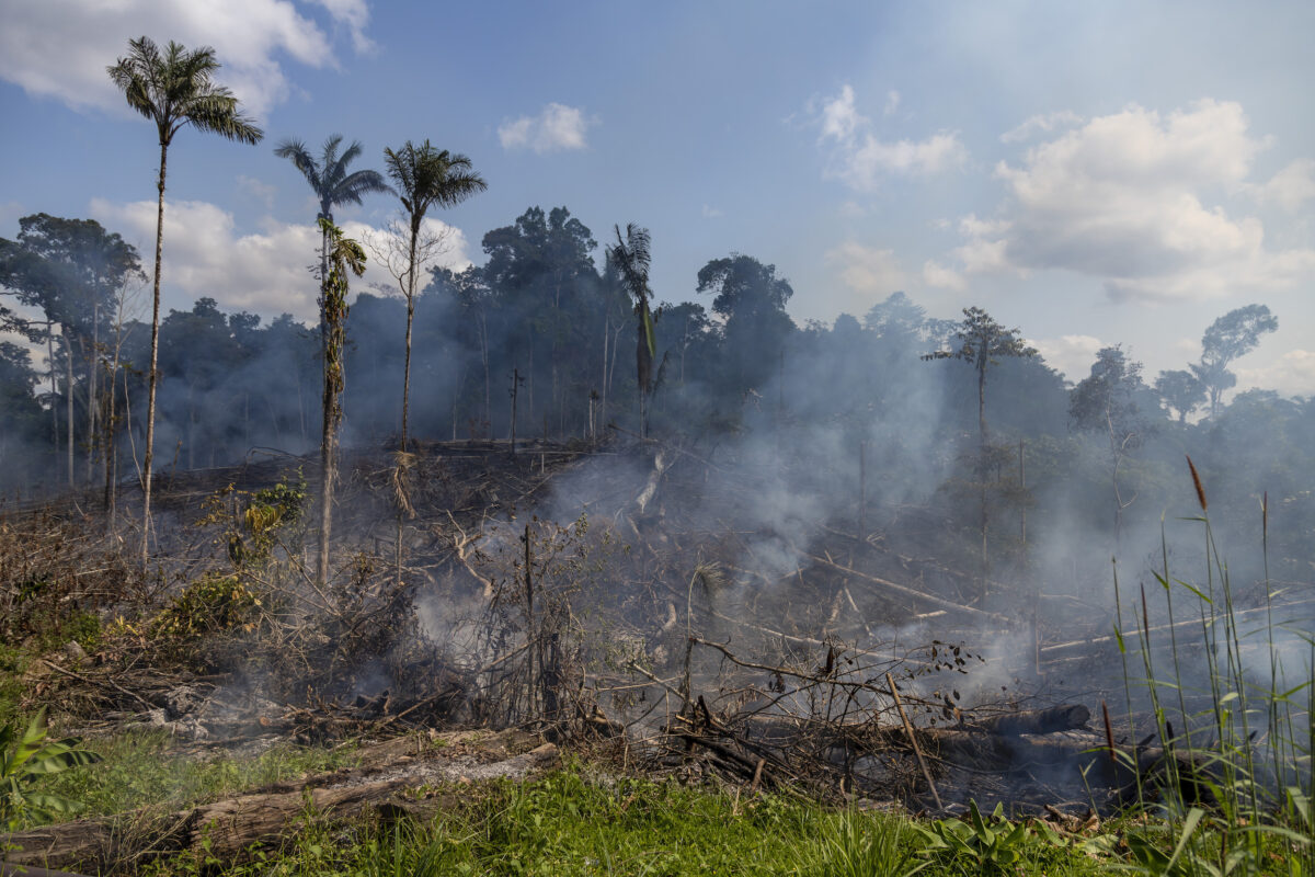 In the villages around the Via Auca, burning is an economical way to prepare land for agriculture or cattle raising.