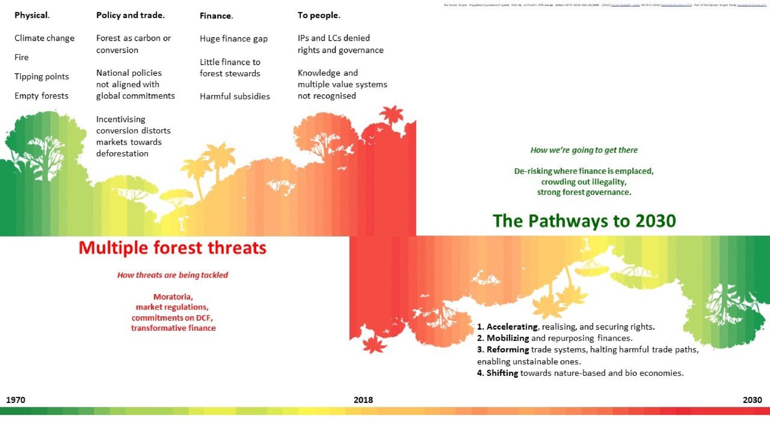 The Pathways infographic summarizes, on the left, the multiple threats to meeting global forest commitments and how positive momentum is building. On the right, the pathways to meeting global forest goals are laid out and what progress is needed to move along the pathways to protect, restore and sustainably manage forests globally. Image courtesy of WWF.