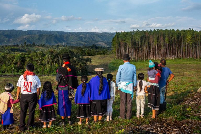 Misak women, men and children observe the contrast between the monoculture pine and eucalyptus plantation, on the right, and the natural forest in their territory, on the left, from a distance.