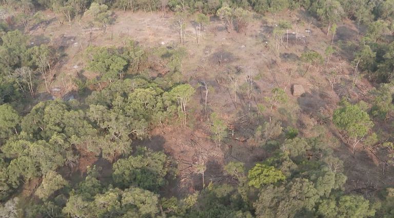 A clearing in Olpusimoru Forest Reserve. Image by Keit Silale for Mongabay.