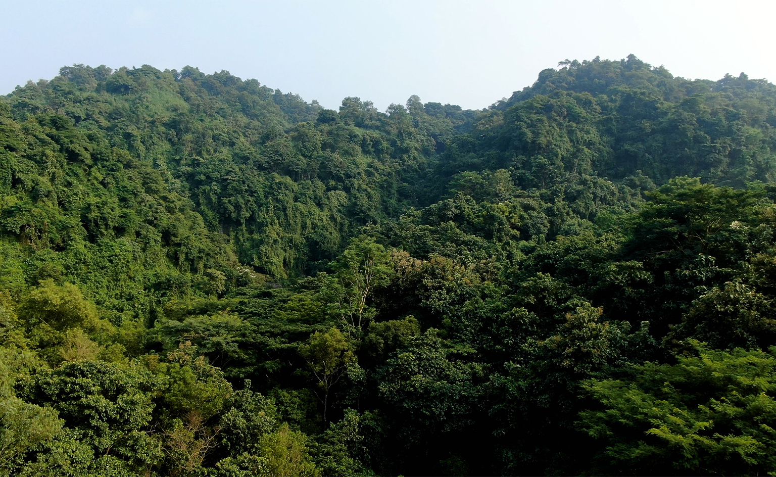 Hill slope of the reserve forest in Baroiyadhala National Park.