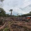Deforestation in the Colombian Amazon. Photo by Rhett A. Butler for Mongabay.