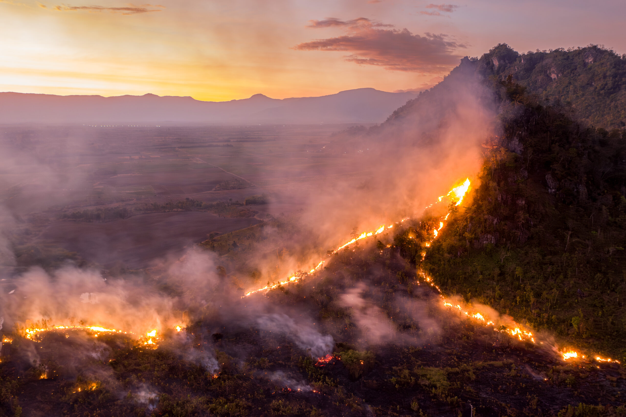 A fire burns through a forest within the 9,059 hectare Chinese-owned Great Field economic land concession in December 2022. Image by Andy Ball / Mongabay.