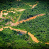An overflight conducted by Greenpeace and Instituto Socioambiental in December 2022 spotted four excavators near an illegal road recently discovered inside the Yanomami Indigenous territory, one of the most endangered areas of Indigenous lands in the Brazilian Amazon.