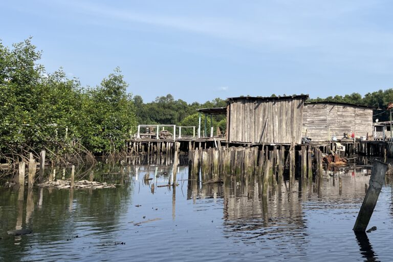 House on stilts built illegally in the Lowé mangrove in Libreville, Gabon. Proto taken on March 3, 2023 by Elodie Toto
