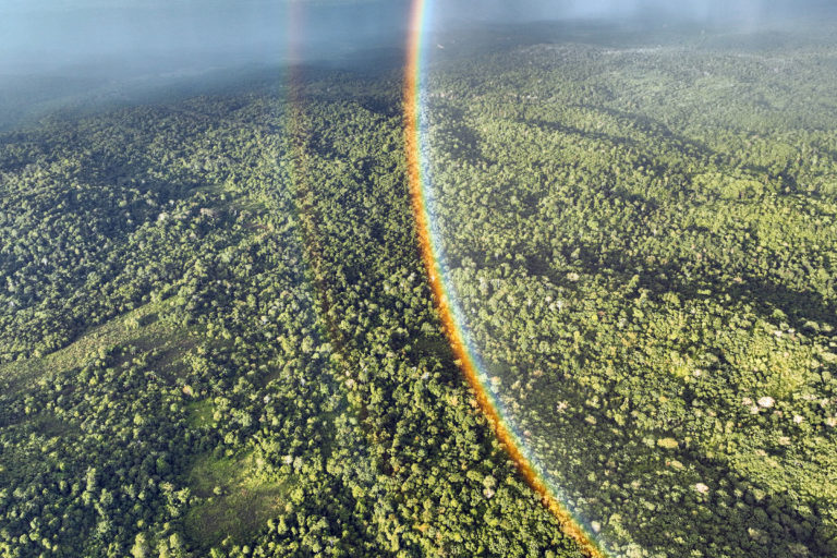Rainbow over rainforest in Sumatra. Photo credit: Rhett A. Butler