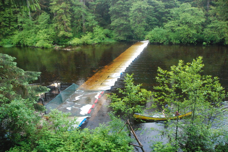 Indigenous weirs fence-like structures built across rivers with a small passage for the fish to pass through — where monitoring cameras are placed. Image by Dr. Jonathan Moore.