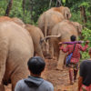 Karen men walk with their elephants.