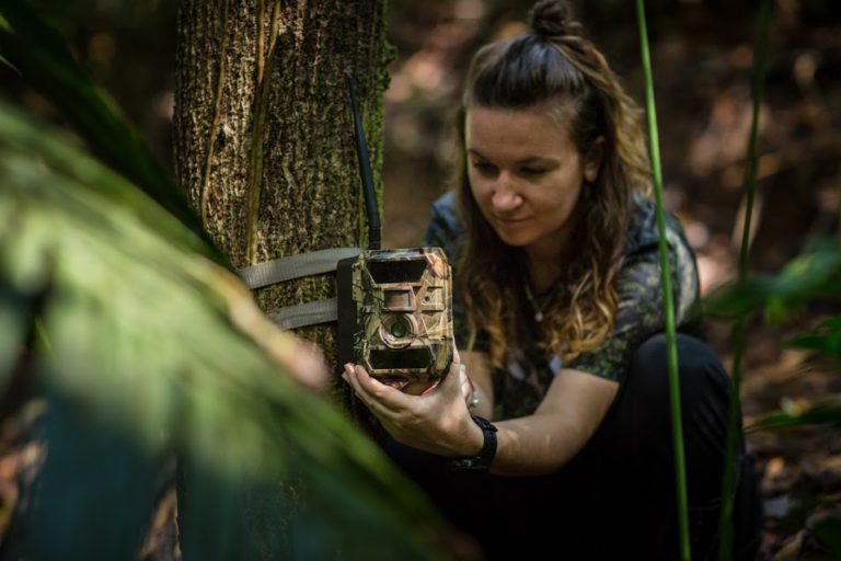 Conservation technology and wildlife manager, Eleanor Flatt, installs a GSM camera trap in the forests protected and managed by Osa Conservation.  Image by Marco Molina.