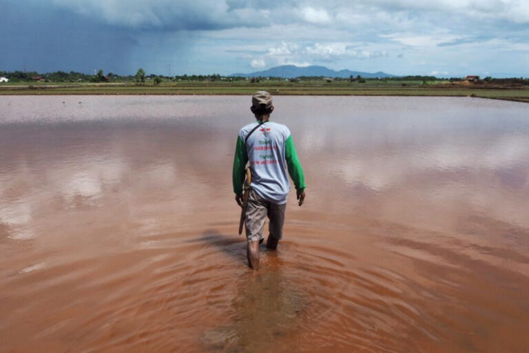 A paddy field farmer wades through his agricultural land flooded with red mud.