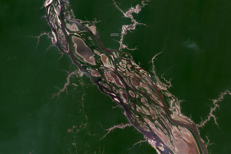 Planet satellite image of the Anavilhanas Archipelago in the Rio Negro in Brazil in October 2023 during a severe drought. Courtesy of Planet.