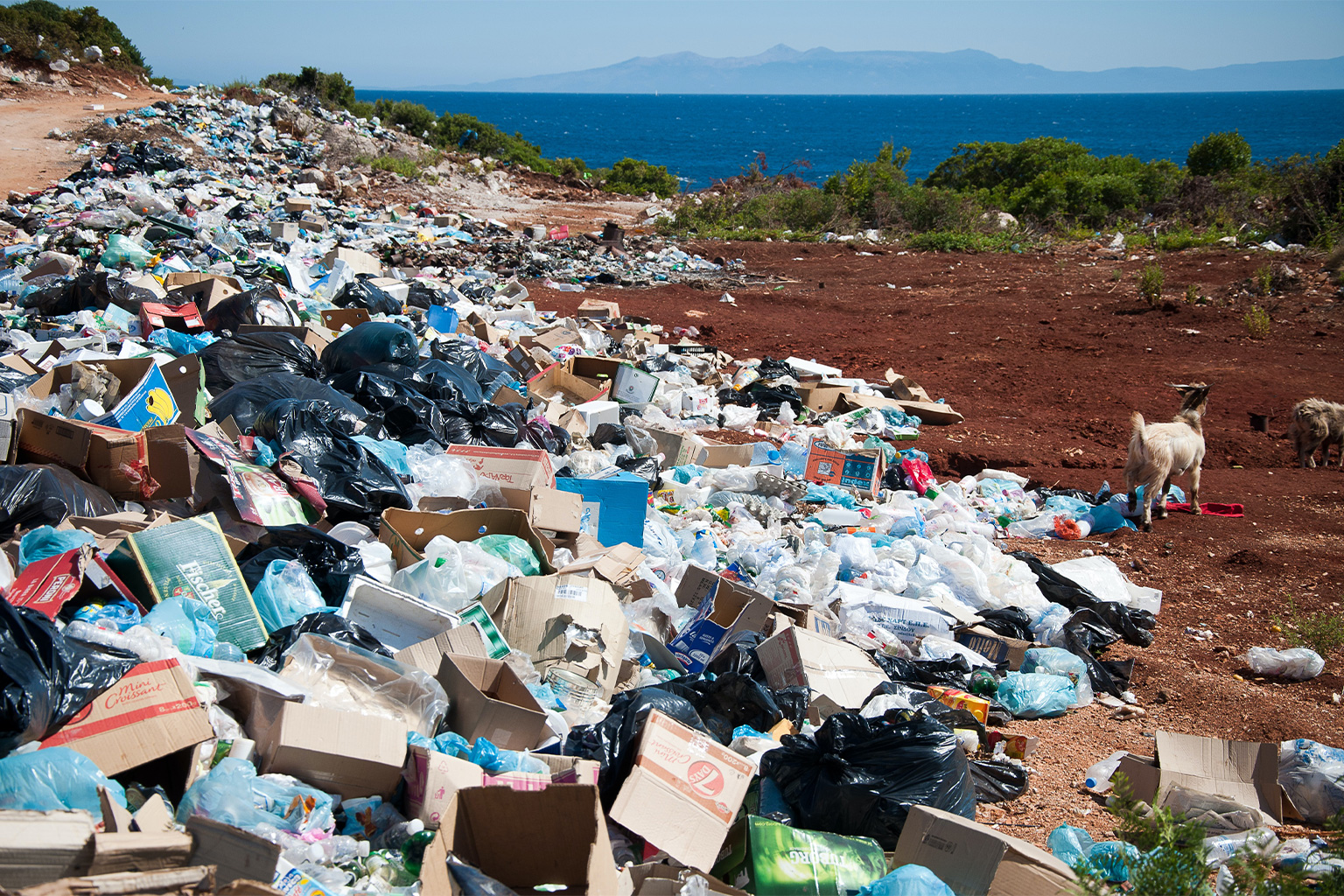 Plastic waste on a beach.