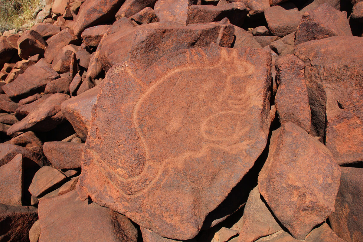Kangaroo petroglyph