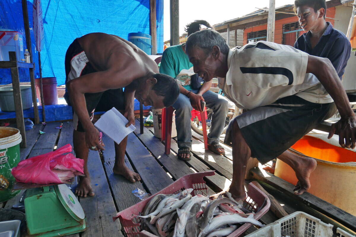 Samsuri (left) weighs the fish caught by Kuala Selat's fishermen.