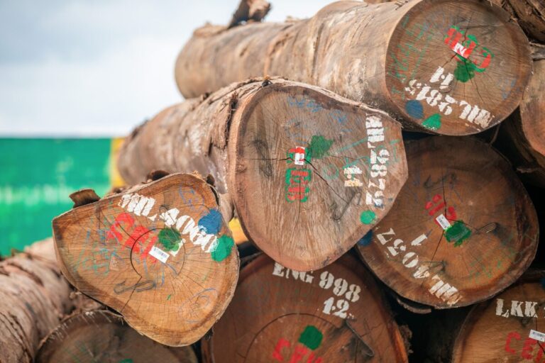 Brightly-coloured seals and white stenciled writing on the ends of logs at Gabon's Nkok SEZ. Image courtesy GSEZ.