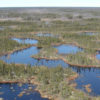 The Hudson Bay Lowland landscape is as much water as land. The deep peat soils of the region store billions of tonnes of carbon. Image courtesy of WCS Canada.
