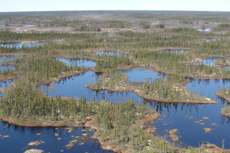 The Hudson Bay Lowland landscape is as much water as land. The deep peat soils of the region store billions of tonnes of carbon. Image courtesy of WCS Canada.