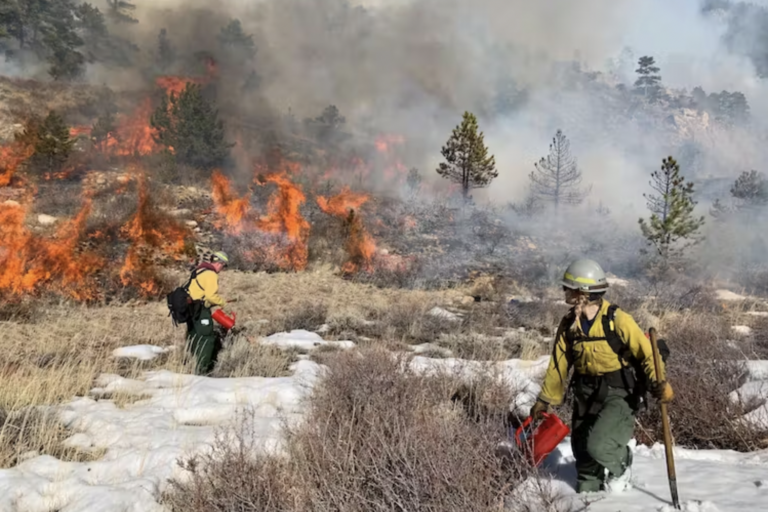 A prescribed burn in the Arapahoe and Roosevelt national forests, Colorado, February 2019. Image courtesy of the U.S. Forest Service.
