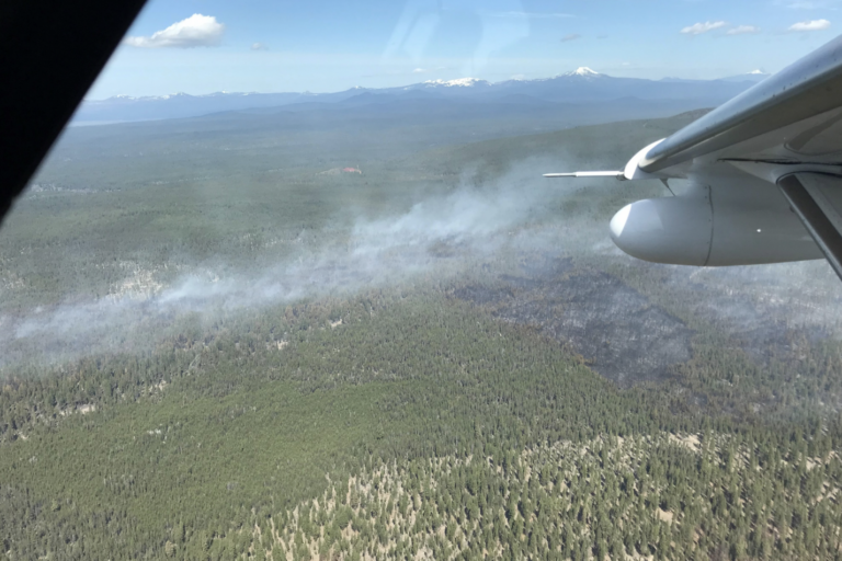 The North II Prescribed Burn was declared a wildfire on May 5, 2021, and became the Meadow Fire, which was contained on May 12 after burning 832 acres (337 hectares). Image courtesy of Fremont-Winema National Forest.